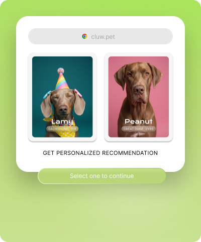 How it works visual 2